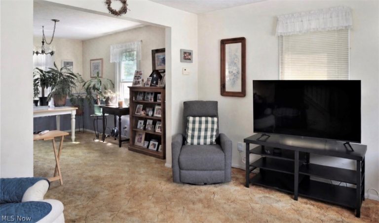 419 Meadow Lane, Painesville, OH - Photo 8