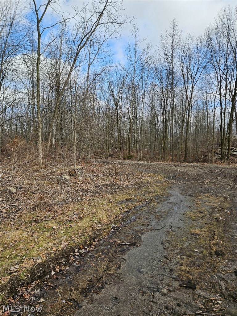 Ashley Circle, Austintown, OH - Photo 3