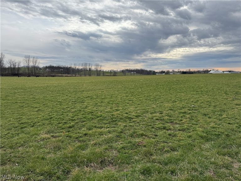 Township Road 613, Fredericksburg, OH - Photo 4
