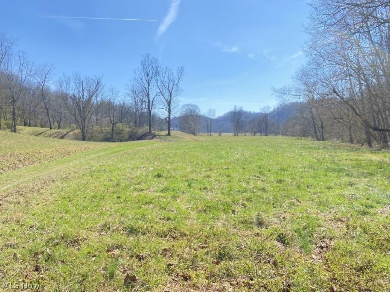 988 Young Lane, Elizabeth, WV - Photo 5