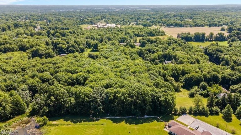 29 Colony Drive, Alliance, OH - Photo 4