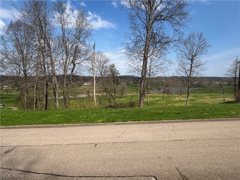 Woodridge Drive, Mineral Wells, WV, 26150