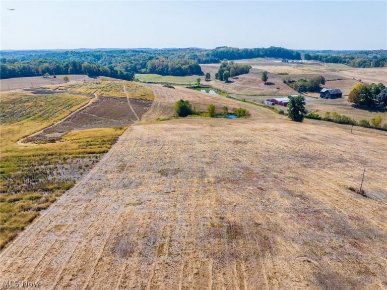 7100 Halo Road, Dellroy, OH - Photo 3