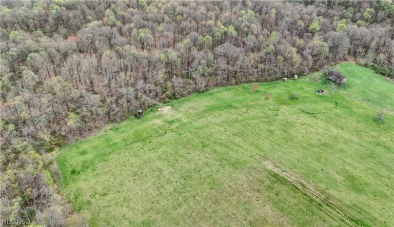 75964 Science Hill Road, Newcomerstown, OH - Photo 6