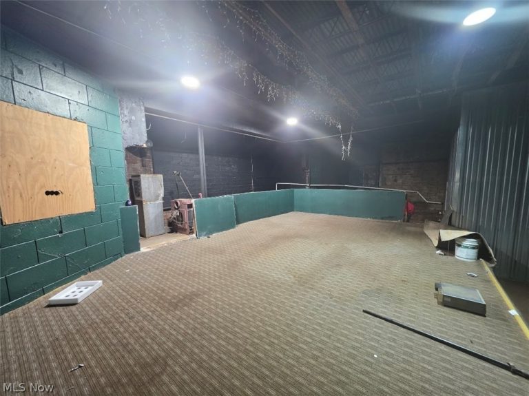 625 johnston, Akron, OH - Photo 8