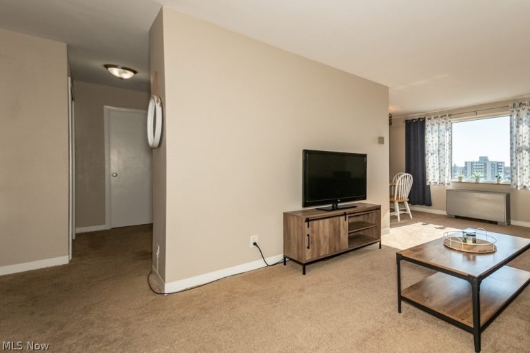 11850 Edgewater Drive #1002, Lakewood, OH - Photo 6