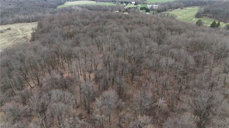 Cream Ridge Road, Lisbon, OH - Photo 3