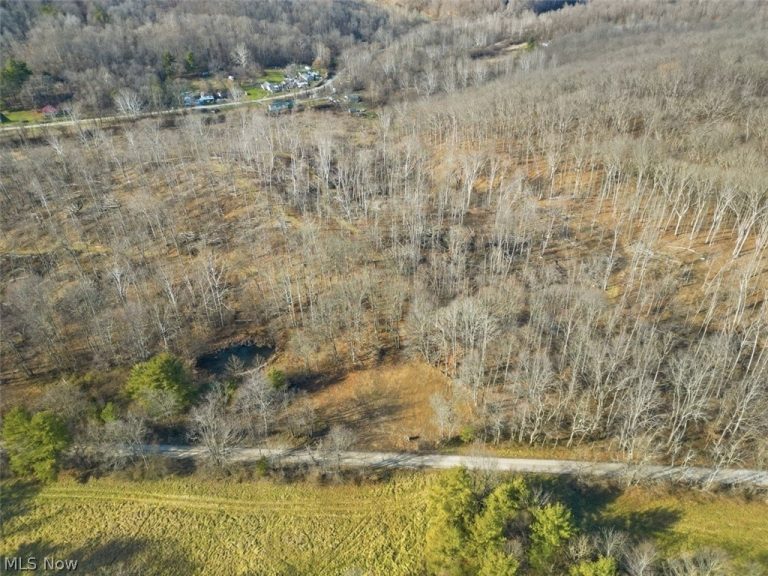 00 State Route 155, Corning, OH - Photo 8