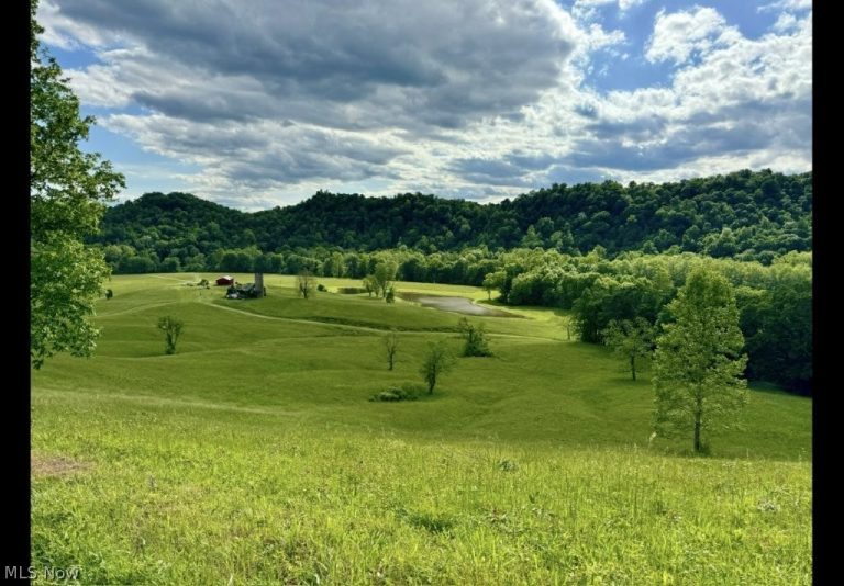 988 Young Lane, Elizabeth, WV, 26143