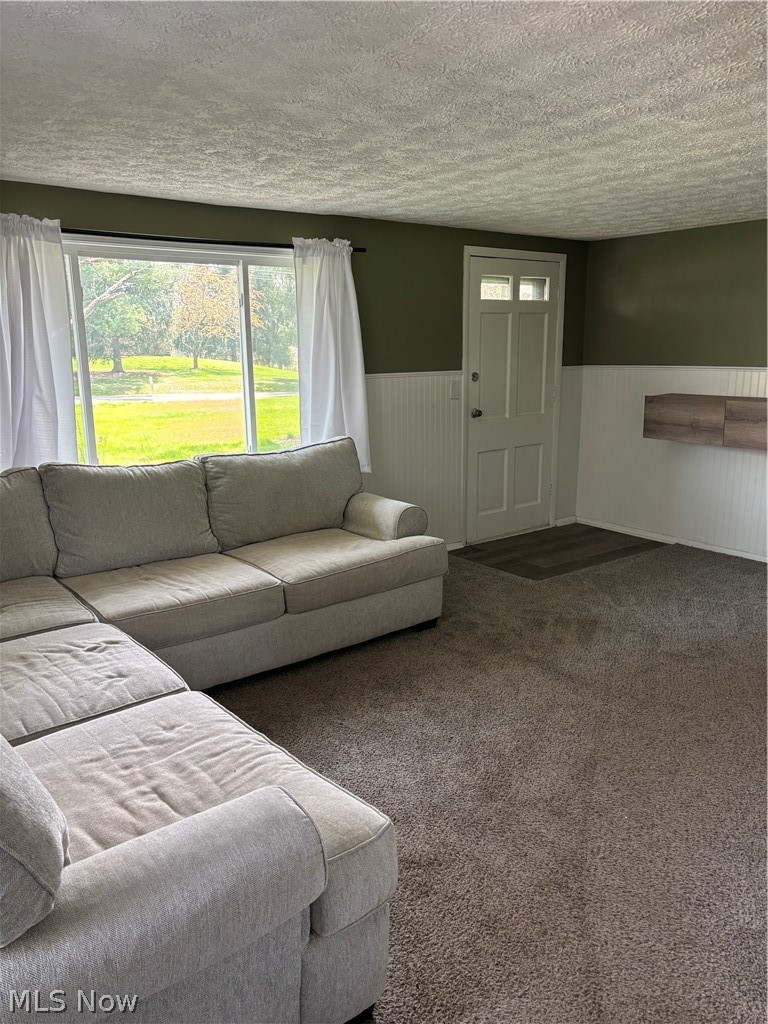 3229 Winchell Road, Mantua, OH - Photo 8