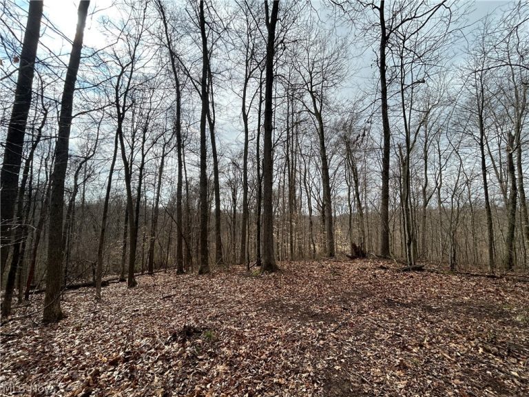 Wilbur Bush Road, Crooksville, OH, 44606