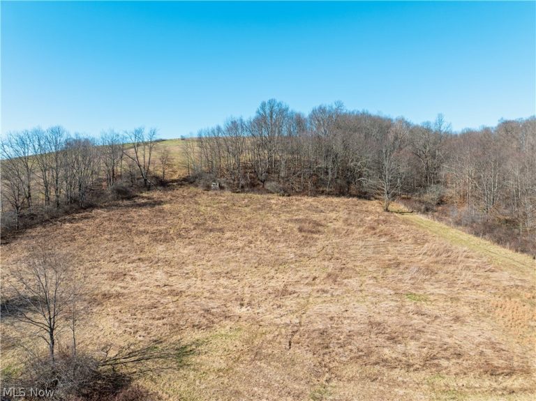 Eckley Road, Jewett, OH - Photo 8