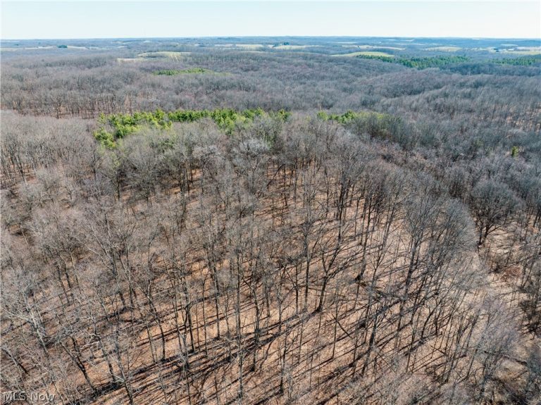 Burrier Road, Jewett, OH - Photo 3