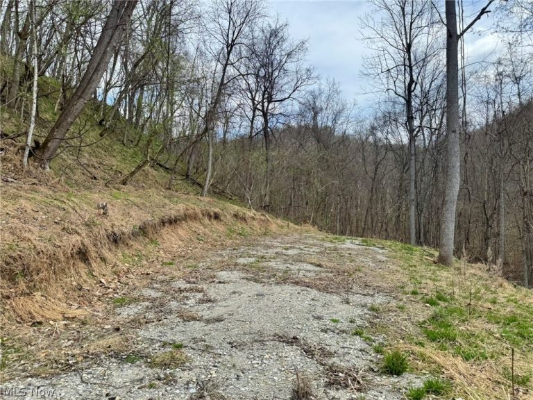 1536 Jakes Fork Road, Arnoldsburg, WV - Photo 3