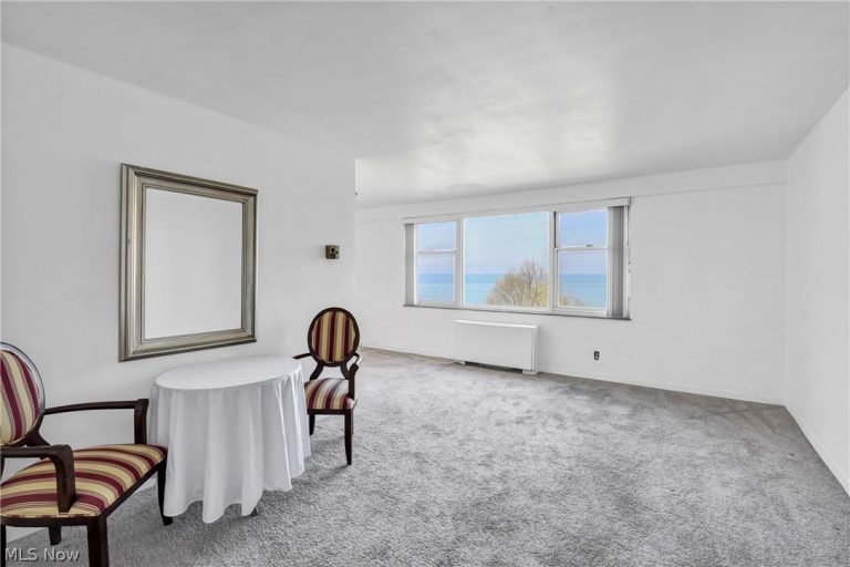 11850 Edgewater Drive #619, Lakewood, OH - Photo 6