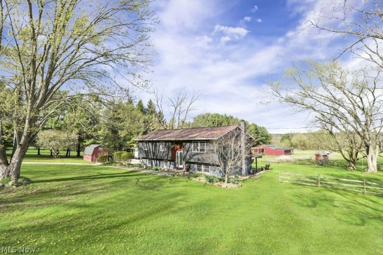 7545 Wadsworth Road, Medina, OH - Photo 3