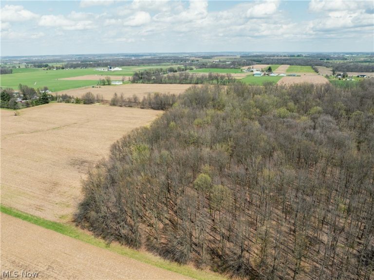 Steiner Road, Creston, OH - Photo 5