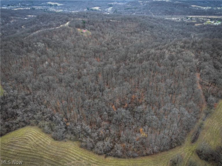 0 Tract 14 CR 7 Rear, Caldwell, OH, 43724