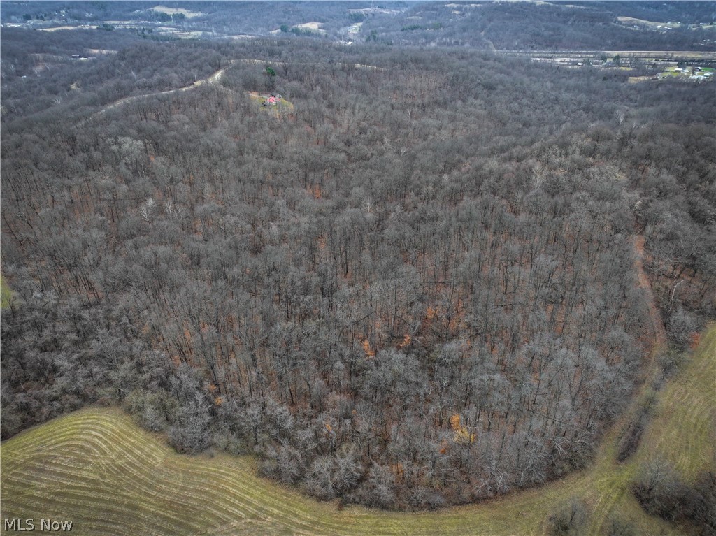 0 Tract 14 CR 7 Rear, Caldwell, OH