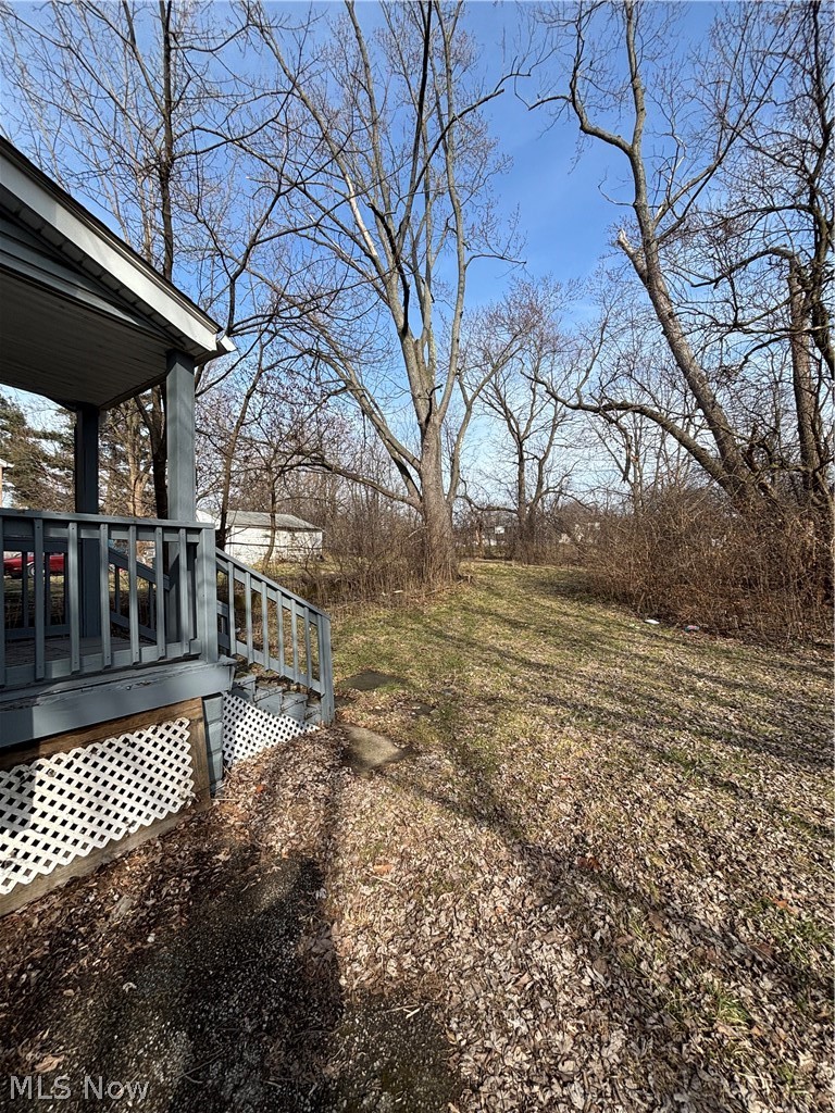 3919 99th Street, Cleveland, OH - Photo 3