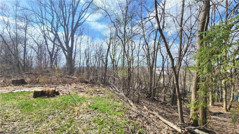 20051 Hillcrest Drive, Euclid, OH - Photo 5