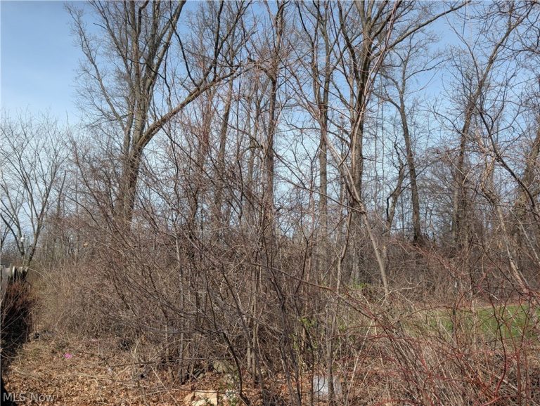 VL North Ridge Road, Lorain, OH - Photo 2