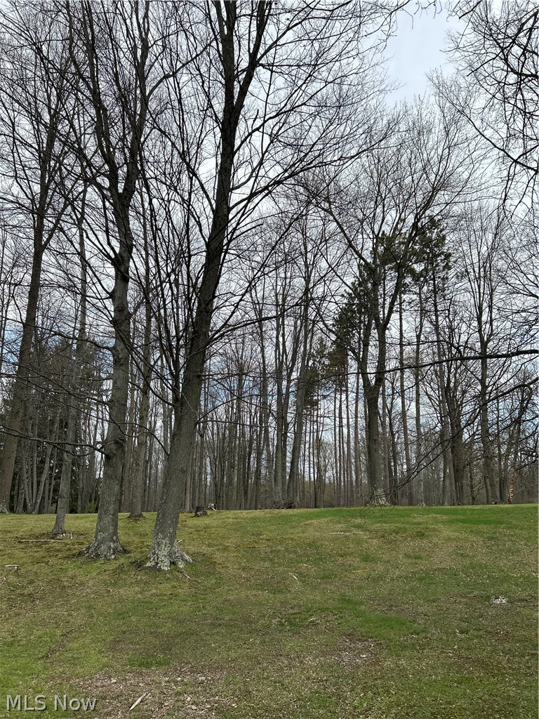 170 West Main St/ US Rt 322, Orwell, OH, 44076