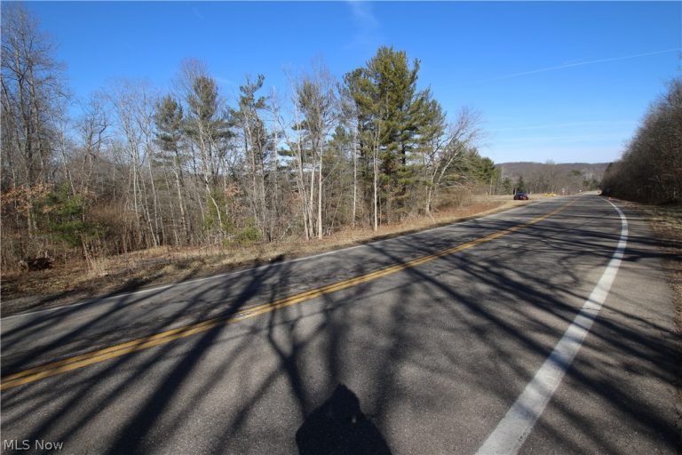 Oh-45, Lisbon, OH - Photo 6