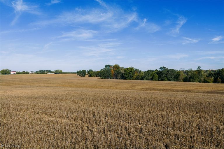 15 Glecoe Road, Dellroy, OH - Photo 5