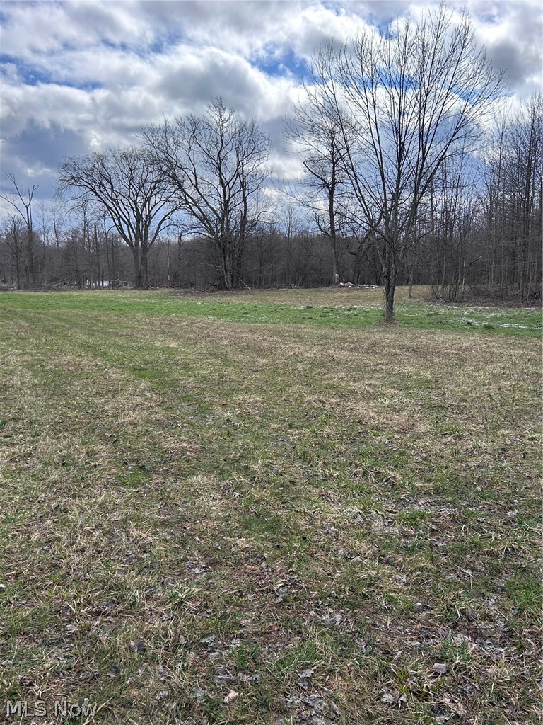 V/L White Road, Rock Creek, OH - Photo 3
