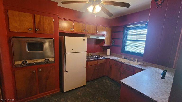 6558 Mentor Park Boulevard, Mentor, OH - Photo 8