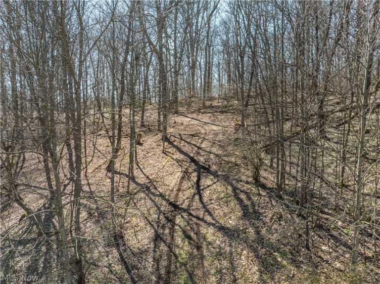 Township Road 34, Killbuck, OH - Photo 4