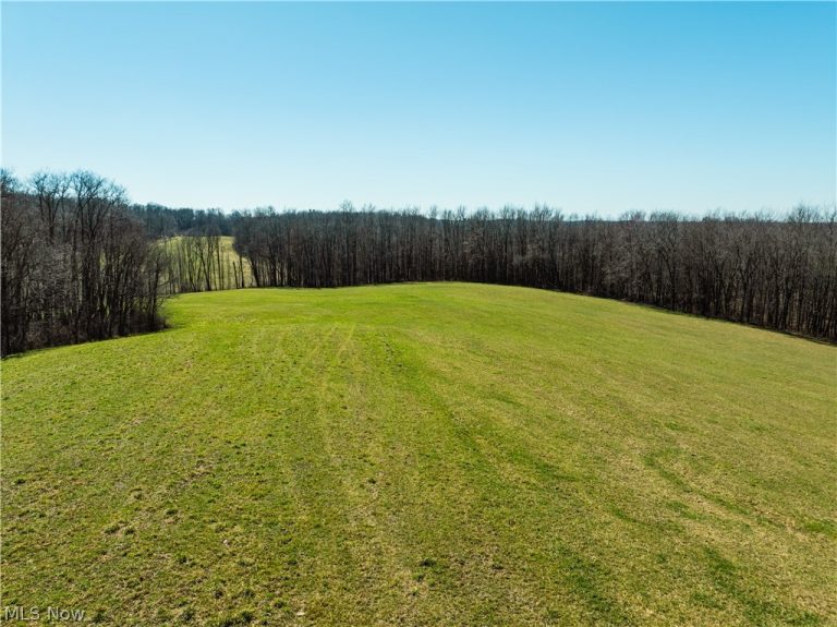Burrier Road, Jewett, OH - Photo 3