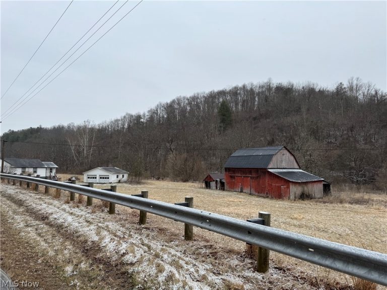 35515 State Route 800, Sardis, OH - Photo 3