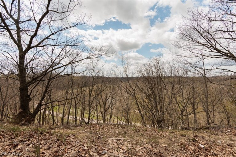 3155 Rocky River Drive, Cleveland, OH - Photo 7