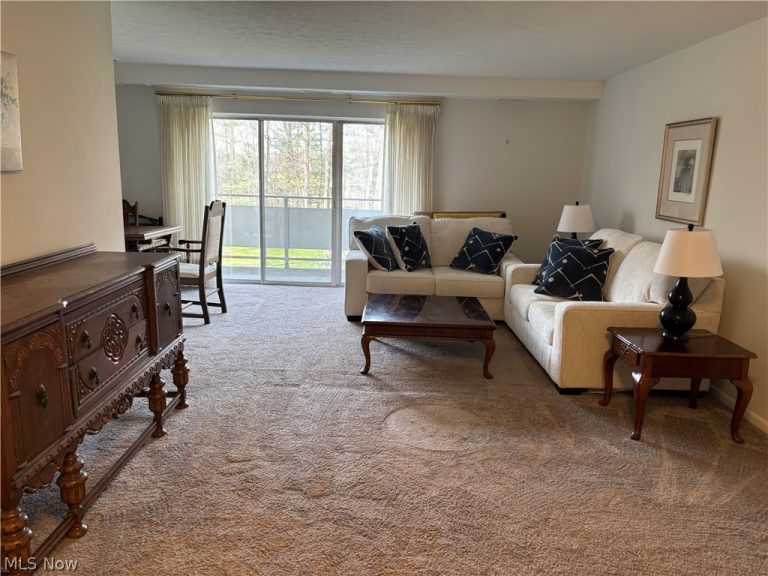2112 Acacia Park Drive #312, Lyndhurst, OH - Photo 5