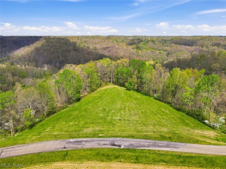 Union Hill Road, Blue Rock, OH - Photo 4