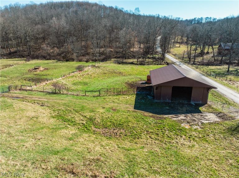 Eckley Road, Jewett, OH, 43986