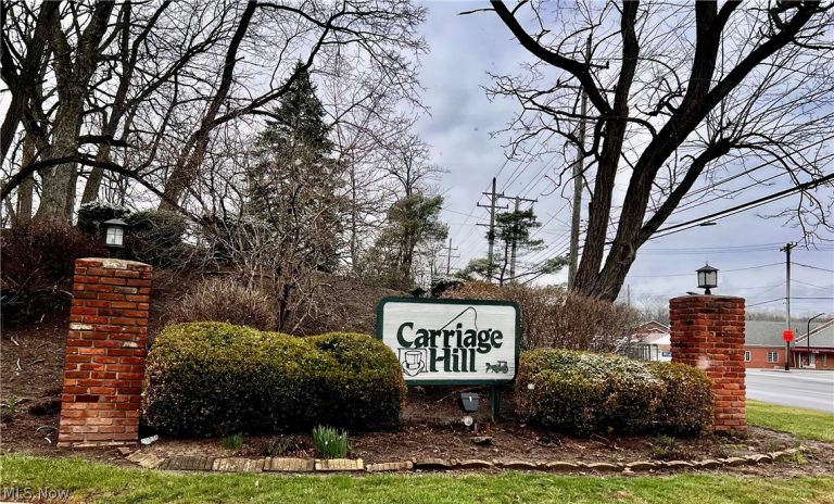6910 Carriage Hill Drive #101, Brecksville, OH - Photo 3