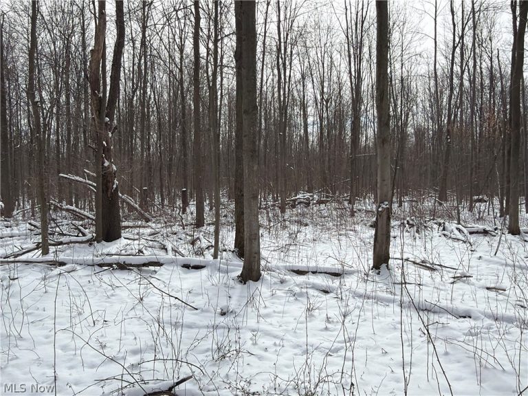Munson Hill Road, Ashtabula, OH - Photo 8