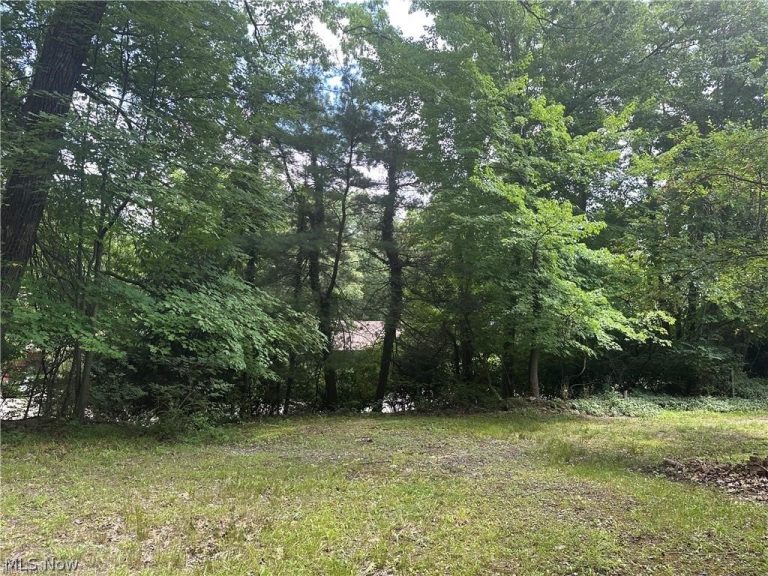 Belleau Wood Drive, Akron, OH - Photo 5