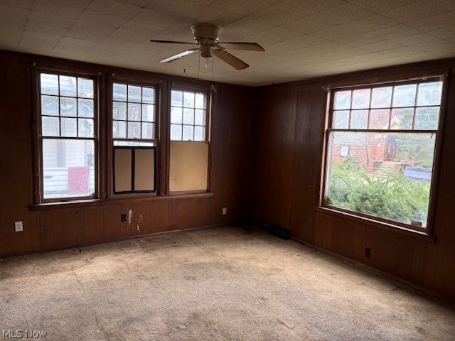 223 Oxford Street, Alliance, OH - Photo 6