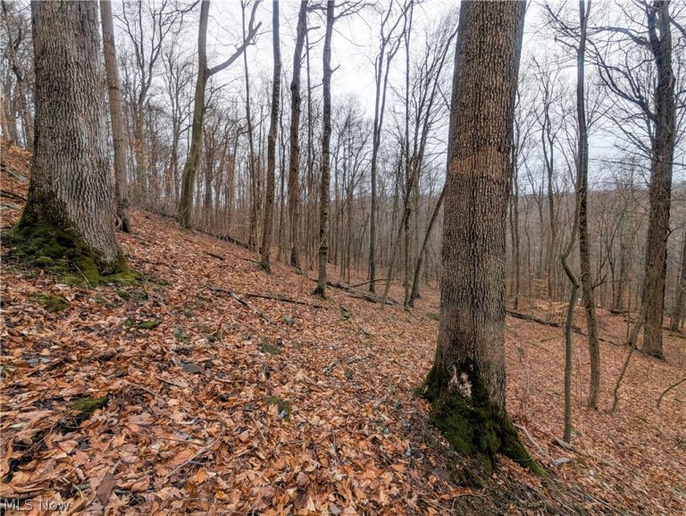 Tract 7 Edwina Road, Woodsfield, OH - Photo 3