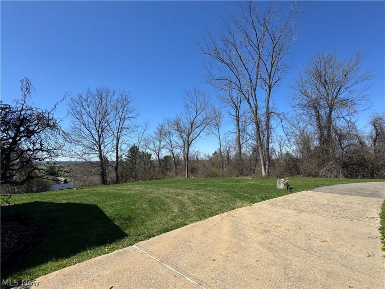 52250 Sidon Road, Dillonvale, OH - Photo 4