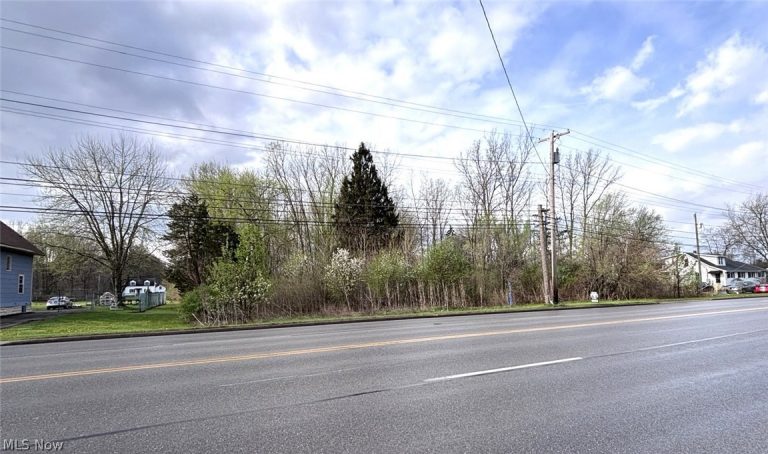 43033 Ridge Road, Elyria, OH - Photo 5