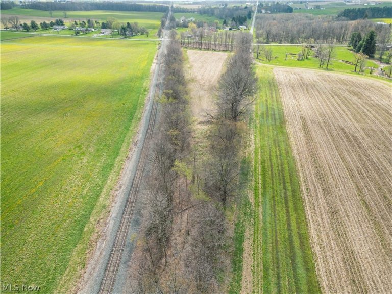 Steiner Road, Creston, OH - Photo 5