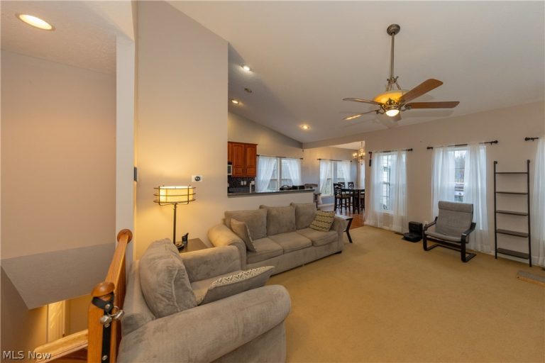 10218 Ridgeview Court, Streetsboro, OH - Photo 4