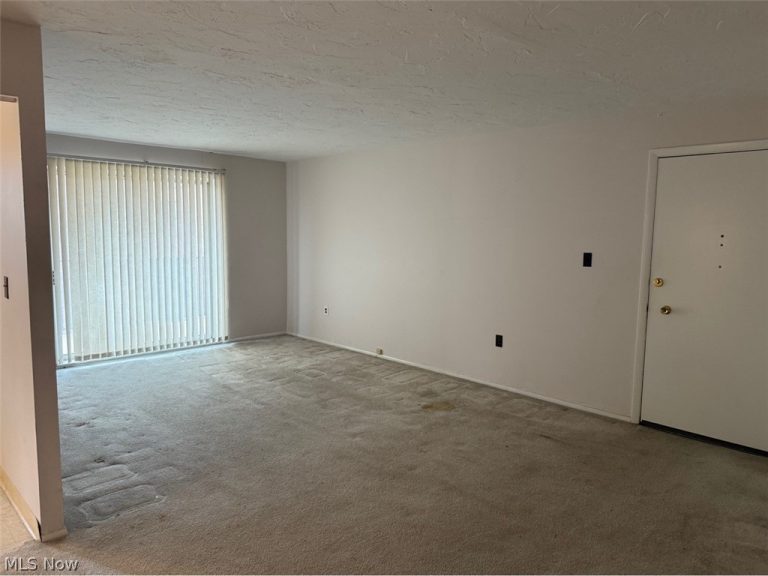 12029 Clifton Boulevard #301, Lakewood, OH - Photo 4