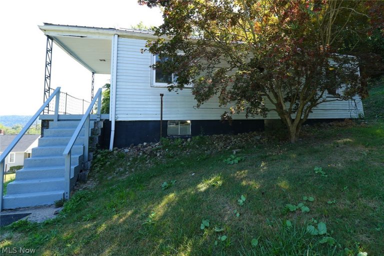 126 Ohio Street, Mingo Junction, OH - Photo 5