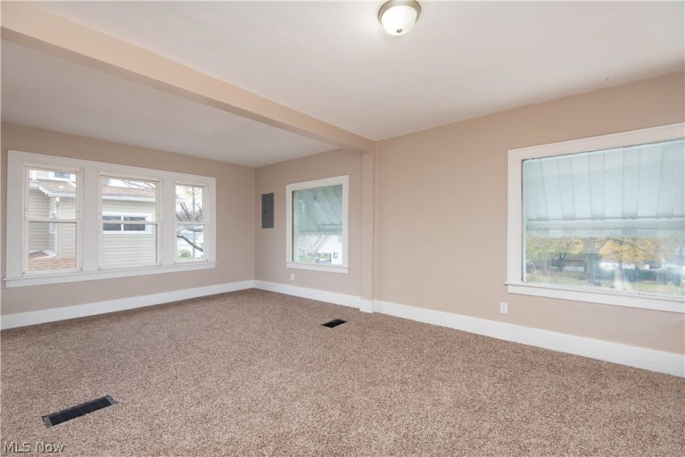 231 Windsor Street, Akron, OH - Photo 3